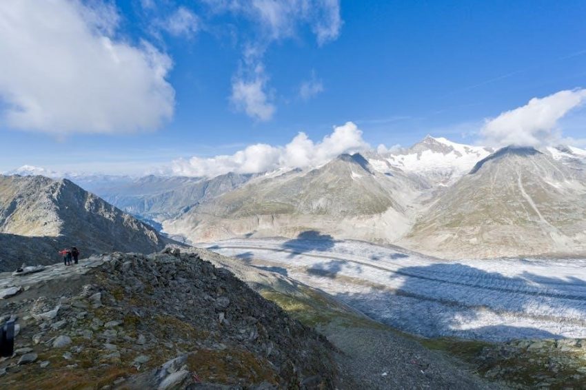 Router Bit Profiles: Your Quick Reference PDF Guide!